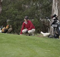 Tasmania Golf Club - The - Accommodation in Bendigo
