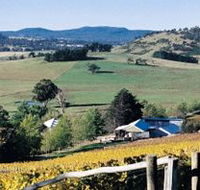 Freycinet Vineyards Pty Ltd - Accommodation in Bendigo