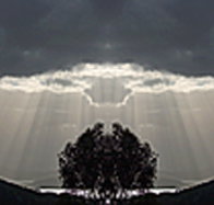 aart. Gallery of Fine Art - Accommodation in Bendigo