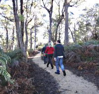 Bridport Walking Track - Accommodation in Bendigo