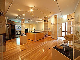 Tasmanian Tiger Exhibition - Accommodation in Bendigo 0