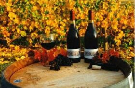 Craigow Vineyard - Accommodation in Bendigo 0