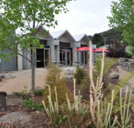 Tin Dragon Interpretation Centre and Cafe - Accommodation in Bendigo