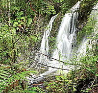 Hogarth Falls - Accommodation in Bendigo