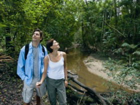 Mooloolah River National Park, Jowarra Section - Accommodation in Bendigo 0