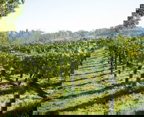 Surveyor's Hill Vineyards - Accommodation in Bendigo 0