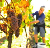 Native Point Wines - Accommodation in Bendigo