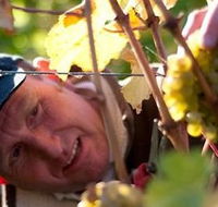 Puddleduck Vineyard - Accommodation in Bendigo