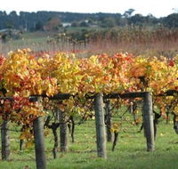 Apsley Gorge Vineyard - Accommodation in Bendigo