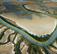 The Wilderness Gallery - Accommodation in Bendigo