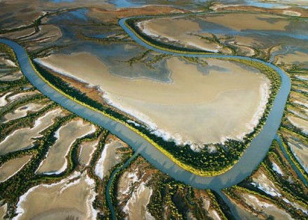 The Wilderness Gallery - Accommodation in Bendigo 0