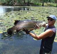 Barra Feeding - Accommodation in Bendigo