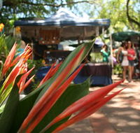 Nightcliff Markets - Accommodation in Bendigo