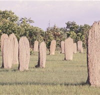 Magnetic Termite Mounds - Accommodation in Bendigo