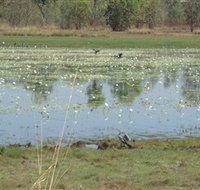 Leaning Tree Lagoon Nature Park - Accommodation in Bendigo