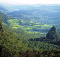 Springbrook Plateau Springbrook National Park - Accommodation in Bendigo