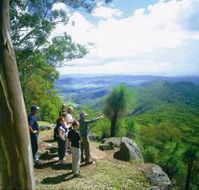 Gold Coast Hinterland Great Walk - Accommodation in Bendigo