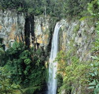 Gondwana Rainforests of Australia - Accommodation in Bendigo