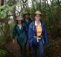 Mount Cougal Springbrook National Park - Accommodation in Bendigo