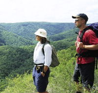 Sunshine Coast Hinterland Great Walk - Accommodation in Bendigo