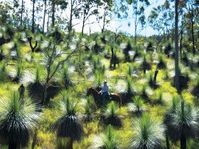  Accommodation in Bendigo