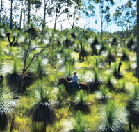 Bicentennial National Trail - Section 5 - Accommodation in Bendigo