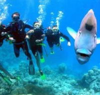 Magic Mountain Dive Site - Accommodation in Bendigo