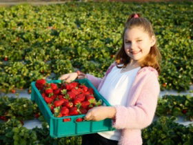  Accommodation in Bendigo