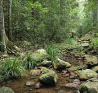 Amamoor State Forest - Accommodation in Bendigo