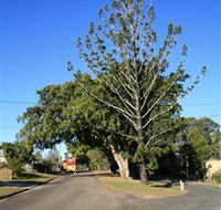 Anzac Avenue Memorial Trees Beerburrum - Accommodation in Bendigo