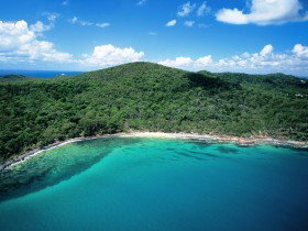 Noosa Heads Coastal Track - Accommodation in Bendigo 0