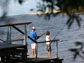 Currimundi Lake (Kathleen McArthur) Conservation Park - Accommodation in Bendigo 0
