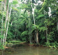 Mount Allan Trail - Accommodation in Bendigo