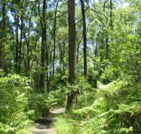 Mapleton Falls National Park - Accommodation in Bendigo