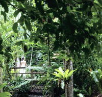 Flecker Botanic Gardens - Accommodation in Bendigo