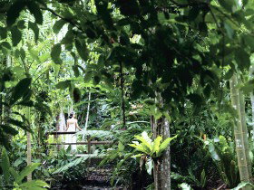 Flecker Botanic Gardens - Accommodation in Bendigo 0