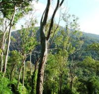 Smiths Track Barron Gorge National Park - Accommodation in Bendigo