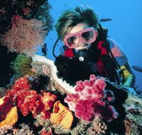 Osprey Reef - Accommodation in Bendigo