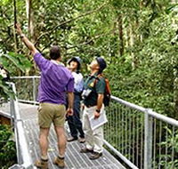 Daintree Discovery Centre - Accommodation in Bendigo