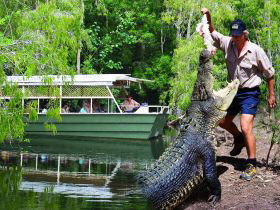 Hartleys Crocodile Adventures - Accommodation in Bendigo 0