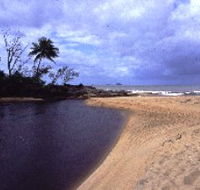 Russell River National Park - Accommodation in Bendigo