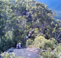 Mia Mia State Forest - Accommodation in Bendigo