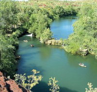 Wild Dog Dreaming Boodjamulla Lawn Hill National Park