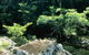 Conway State Forest - thumb 0