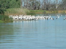  Accommodation in Bendigo