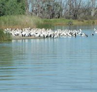 Lake Ross - Accommodation in Bendigo