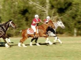 Warwick QLD Accommodation in Bendigo