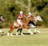 Morgan Park - Accommodation in Bendigo