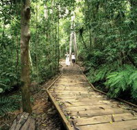 Lake Barrine Circuit Track Crater Lakes National Park - Accommodation in Bendigo