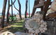 Coolangatta Beachfront Markets - thumb 3